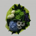 Blauw Hortencia 2 (Medium)