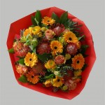 Geel oranje1 (Medium)