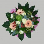 Roze Gerbera Renonkel1 (Medium)