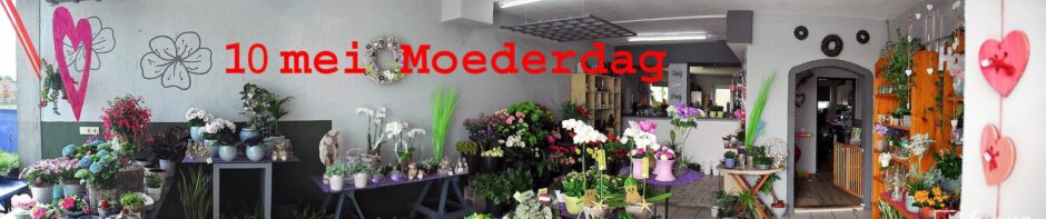 Bloemenboetiek 't Pompoentje